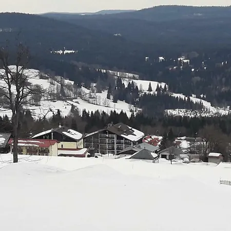 Winter Almberg
