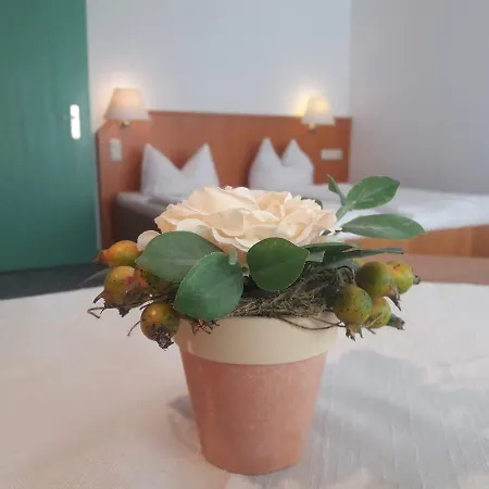 Apartmanhotel Winter Almberg Mitterfirmiansreut