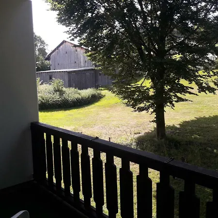 Winter Almberg Apartmanhotel Mitterfirmiansreut