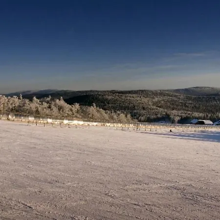 Winter Almberg Aparthotel