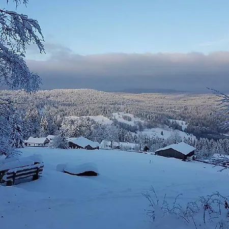 Aparthotel Winter Almberg