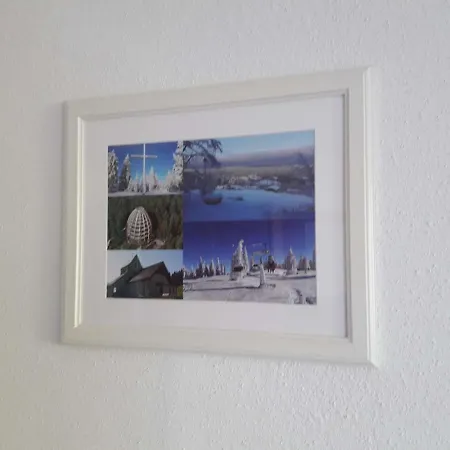 Aparthotel Winter Almberg Mitterfirmiansreut